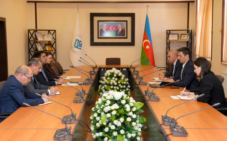 NDU-da rəqəmsal texnologiyalar üzrə əməkdaşlıq imkanları müzakirə olunub 