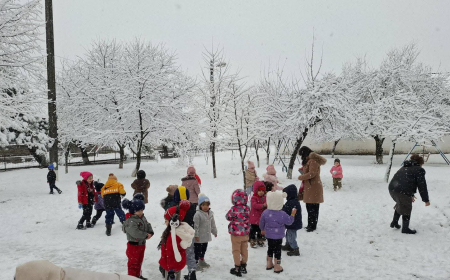 Şəki-Zaqatalada qarlı hava davamiyyətə təsir etməyib