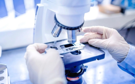 Elmi-tədqiqatla məşğul olanların sayı açıqlandı