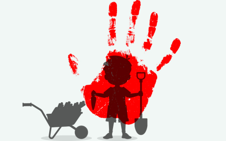 Uşaq əməyinə görə məsuliyyətin sərtləşdirilməsi planlaşdırılır