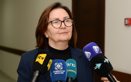 Yeni tədris modelində abituriyent hazırlığı proqramı X-XI siniflərə gətirilib – Vəfa Yaqublu