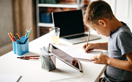 Distant təhsil standartlarından istifadə könüllüdür