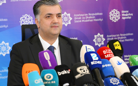 Agentlik sədri: Növbəti dörd ildə bəzi peşələr aktuallığını itirəcək