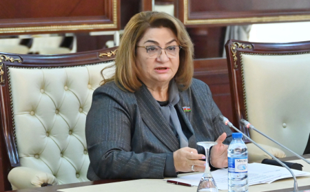 Deputat: Uşaqların sosial şəbəkəyə rahat çıxışı narahatlıq doğurur 