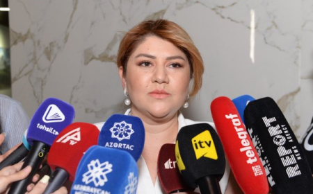 Turan Topalova: Xaricdə təhsil alanların yaşayış xərcləri diferensial qaydada müəyyənləşdirilir 