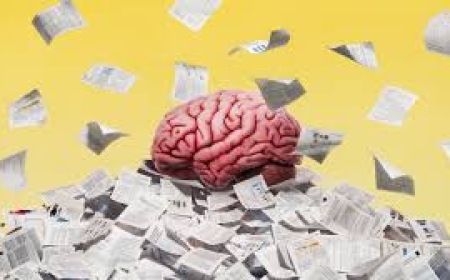 Universitetlərdə diferensial əməkhaqqı sistemi