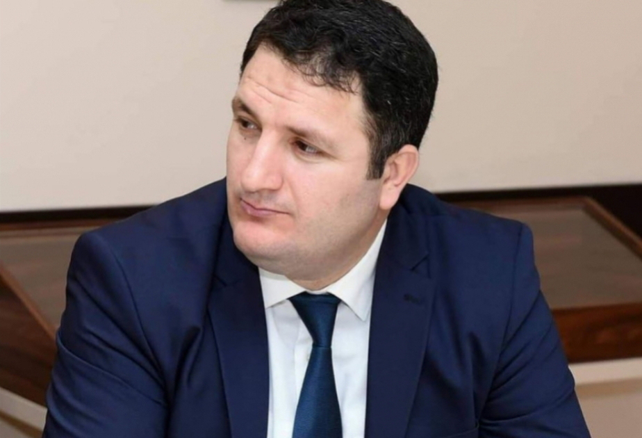 Dilimizdəki yad sözlər milli ifadə imkanlarını məhdudlaşdırır - Elçin İbrahimov