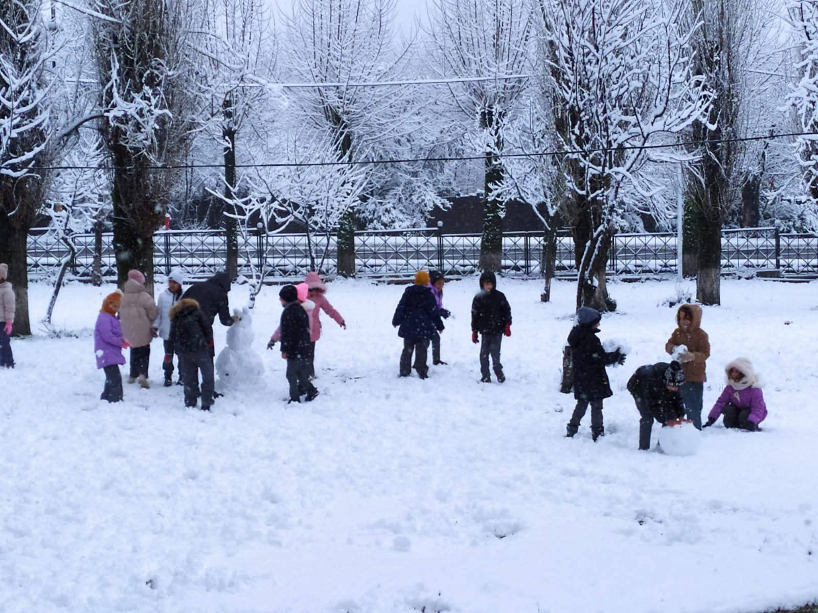 Şəki-Zaqatalada qarlı hava davamiyyətə təsir etməyib