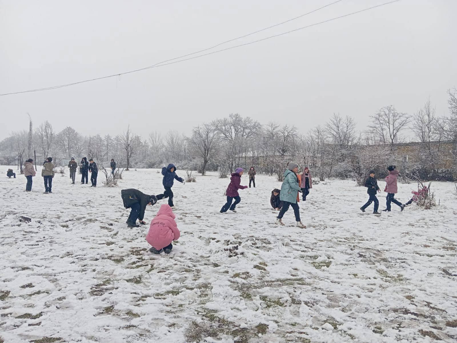 Şəki-Zaqatalada qarlı hava davamiyyətə təsir etməyib