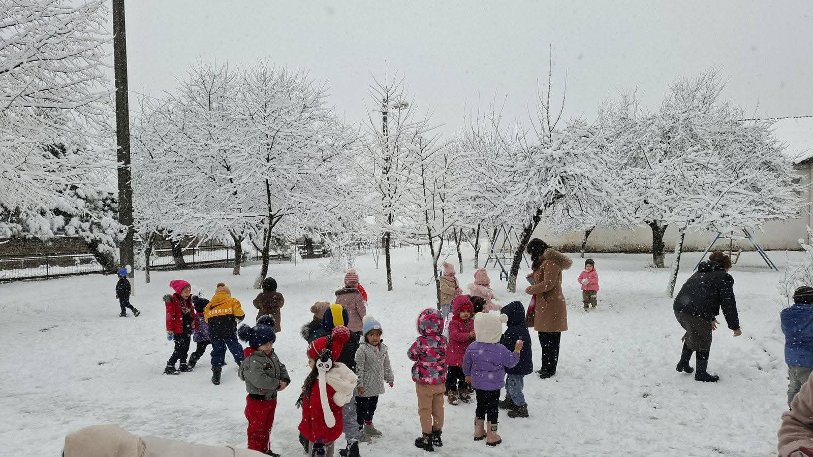 Şəki-Zaqatalada qarlı hava davamiyyətə təsir etməyib