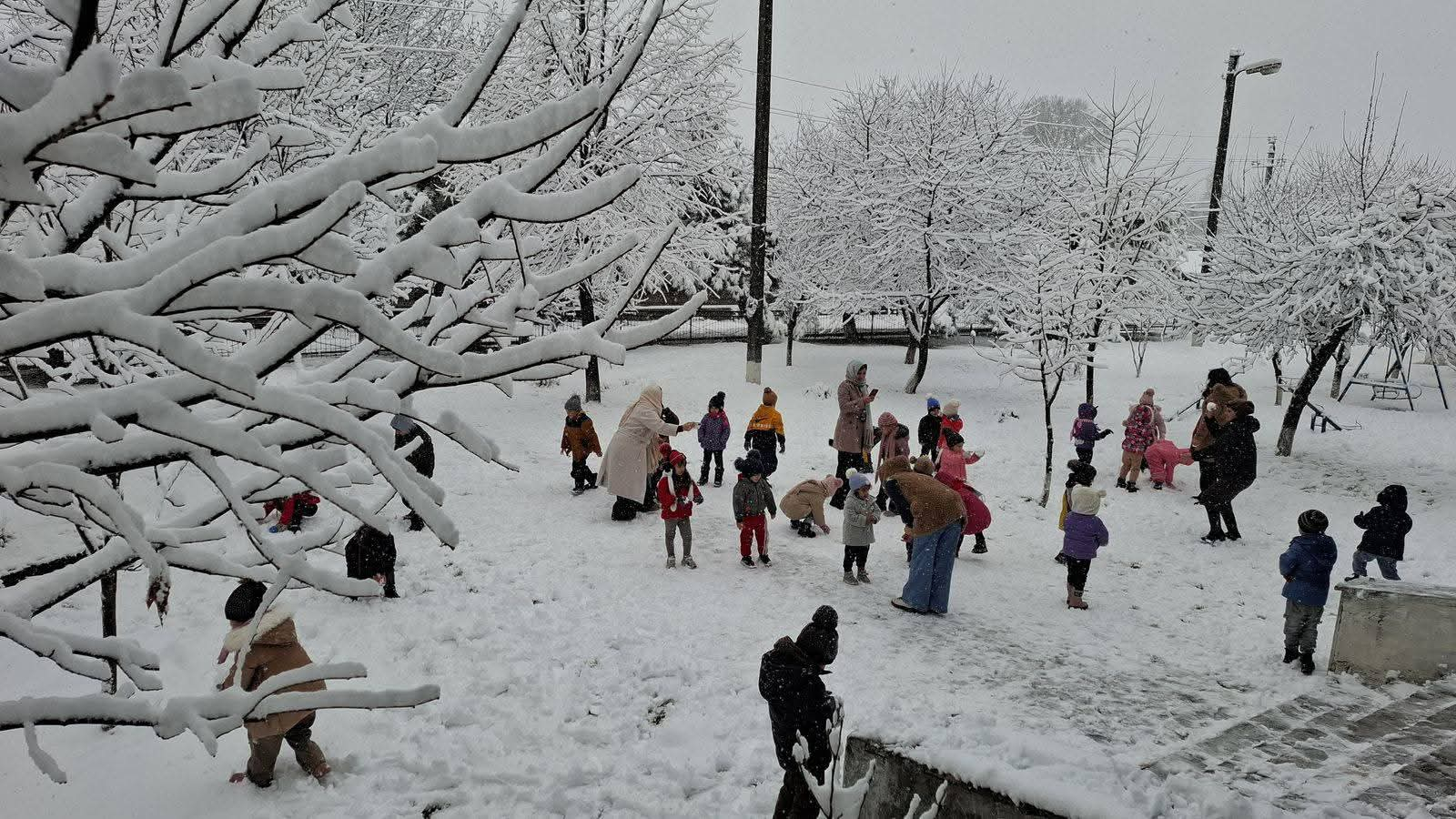 Şəki-Zaqatalada qarlı hava davamiyyətə təsir etməyib