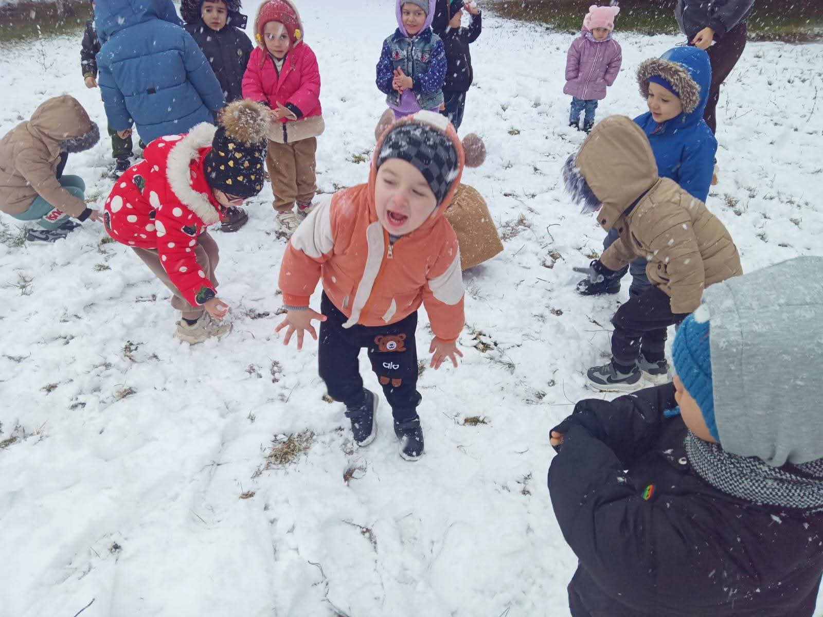 Şəki-Zaqatalada qarlı hava davamiyyətə təsir etməyib