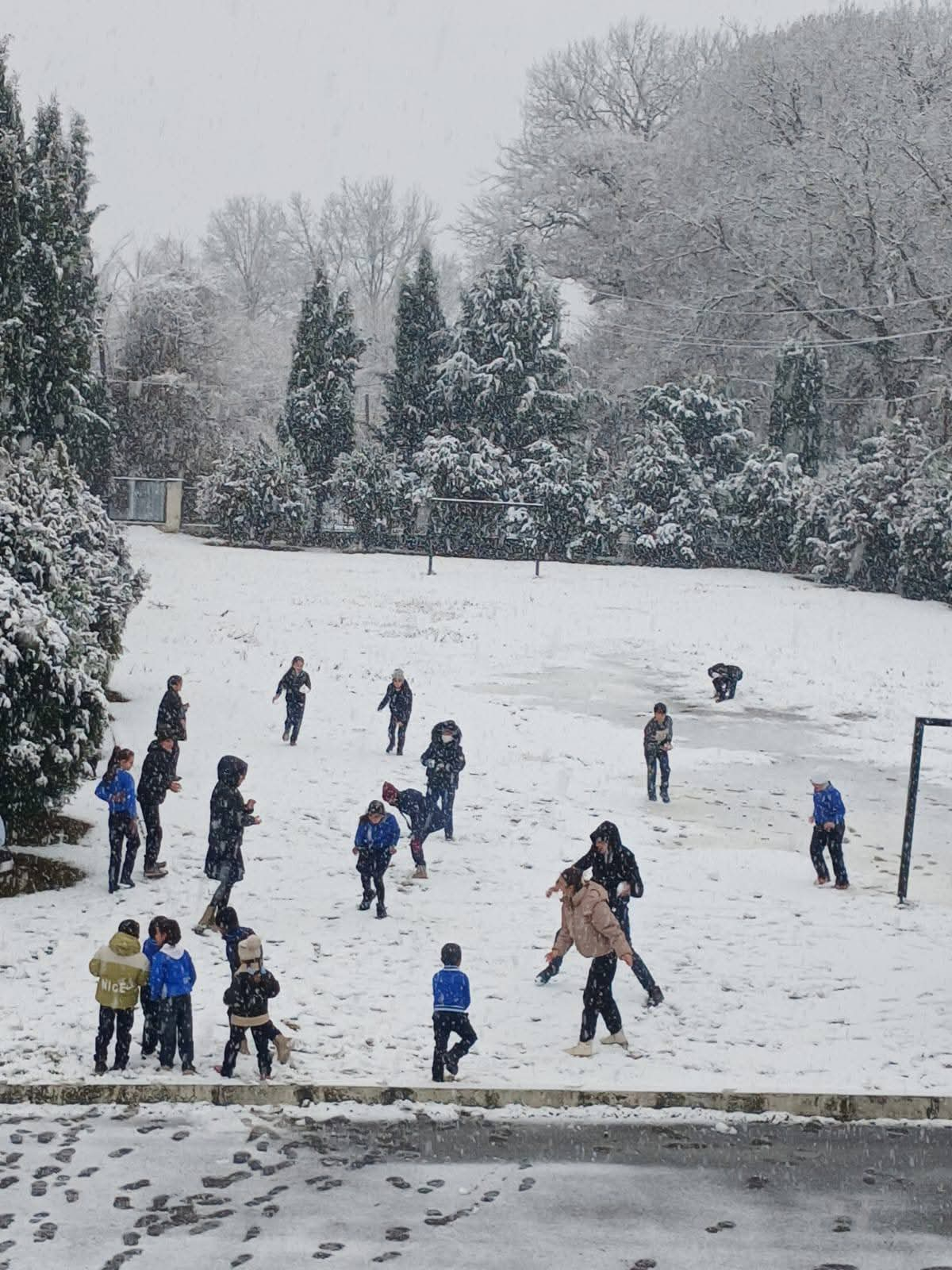 Şəki-Zaqatalada qarlı hava davamiyyətə təsir etməyib
