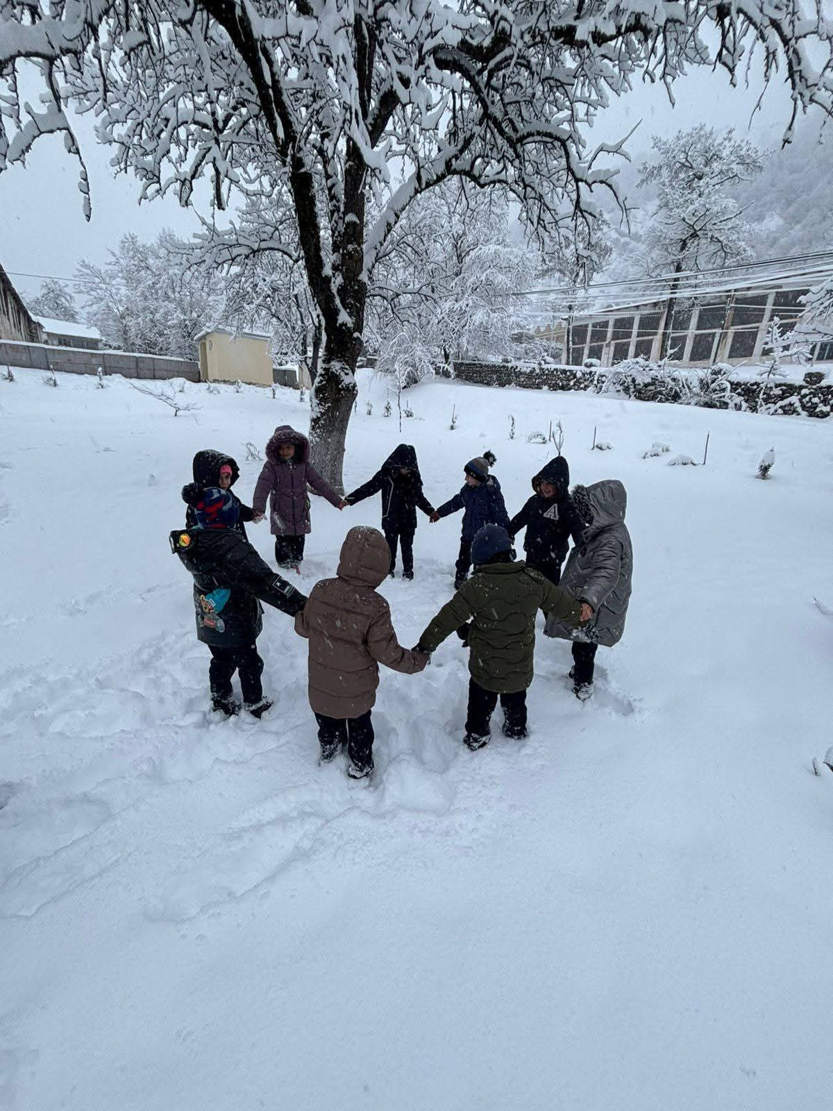 Şəki-Zaqatalada qarlı hava davamiyyətə təsir etməyib