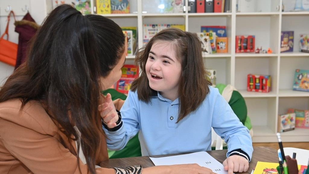 Müəllimlərin texniki bacarıqlarının azlığı əsas çətinliklərdəndir