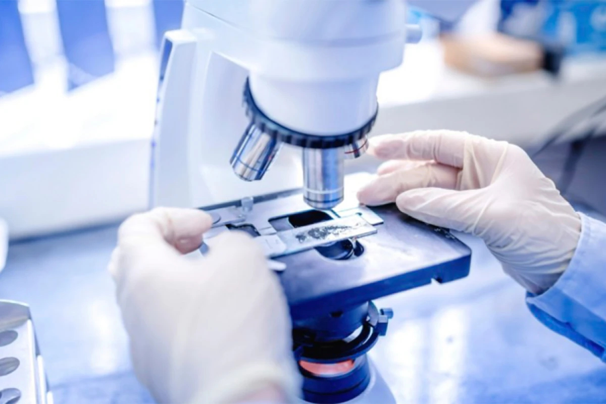 Elmi-tədqiqatla məşğul olanların sayı açıqlandı