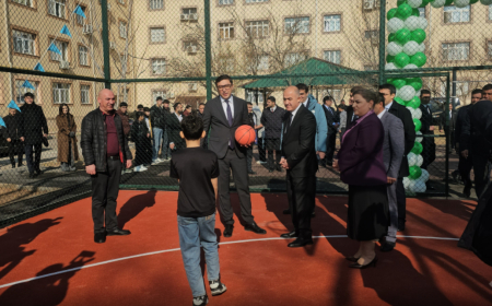 Azərbaycanda ilk dəfə Naxçıvanda "Sağlam məhəllə"lər yaradılıb 