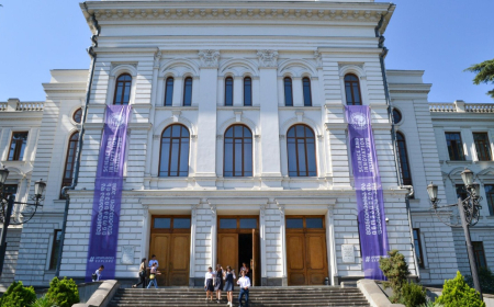 Gürcüstanda elmi-tədqiqat müəssisələri necə idarə olunacaq?  