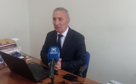 "Belə çıxır ki, ibtidai icma quruluşunda şəhərlər var idi" - Tarixçi alimdən dərsliklərlə bağlı irad 