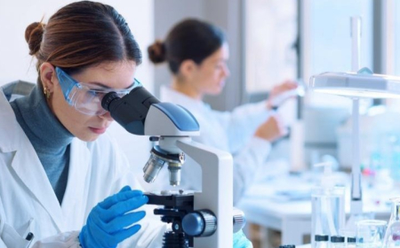 11 Fevral Qadınlar və Qızlar Elmdə Beynəlxalq Günüdür