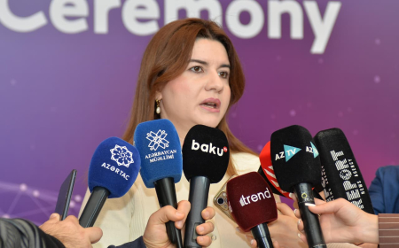 Ülkər Səttarova: Praktiki komponent bir çox ixtisaslarımızda zəifdir 