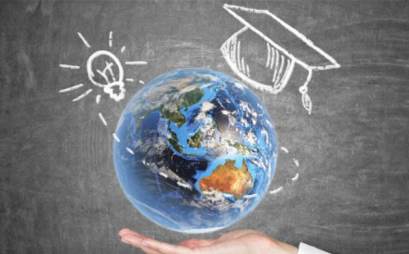 Hansı ixtisaslar üzrə Dövlət Proqramına müraciət etmək olar?