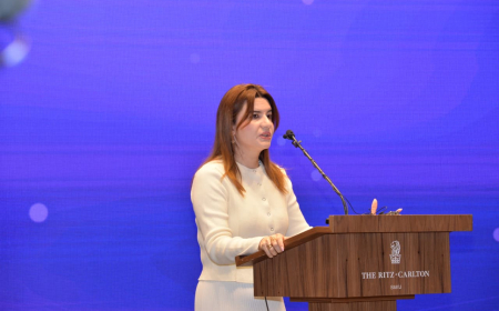 Ülkər Səttarova: Praktiki komponent bir çox ixtisaslarımızda zəifdir 