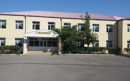 Göygöldə xəstəxanaya yerləşdirilən şagirdlərin hamısı evə buraxılıb - YENİLƏNİB