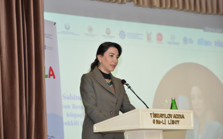 Ombudsman: Uşaqların hüquqlarına dair müraciətlər operativ araşdırılır