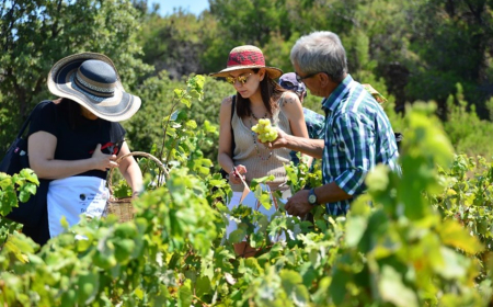 Qəbələdə gənclər üçün aqroturizm mövzusunda seminar keçiriləcək 