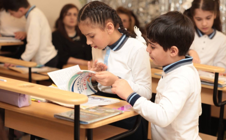 Eyni tapşırıq, fərqli şagirdlər: inklüziv sinifdə səssiz qalan uşaqlar bizə nə demək istəyir? 