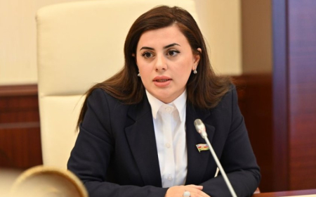 Uşaqların cəlb olunduğu tədqiqatların qiymətləndirməsi mərkəzləşdirilsin – Deputat