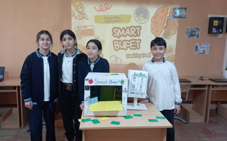 Masallı məktəblərində “Startap və innovasiya” aylığı keçirilir  