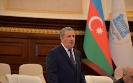 İsa Həbibbəyli: Qarabağ və Şərqi Zəngəzura dair tədqiqatlar genişləndirilib 