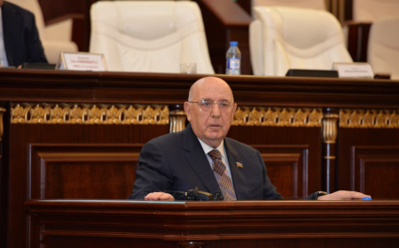 Əhliman Əmiraslanov: Elmi məktəblərə xüsusi diqqət ayrılmalıdır  