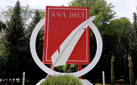 Dilimizi necə qoruyaq? - Müəllim və şagirdlərin mövqeyi