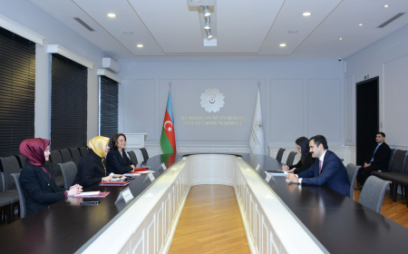 Həsən Həsənli Türkiyənin milli təhsil nazirinin müavini ilə görüşüb