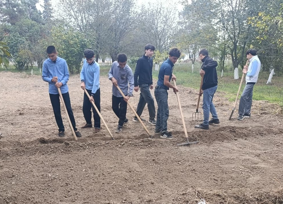Mil-Muğan regionunun 800-dən çox şagirdi peşə təmayüllü siniflərdə təhsil alır 