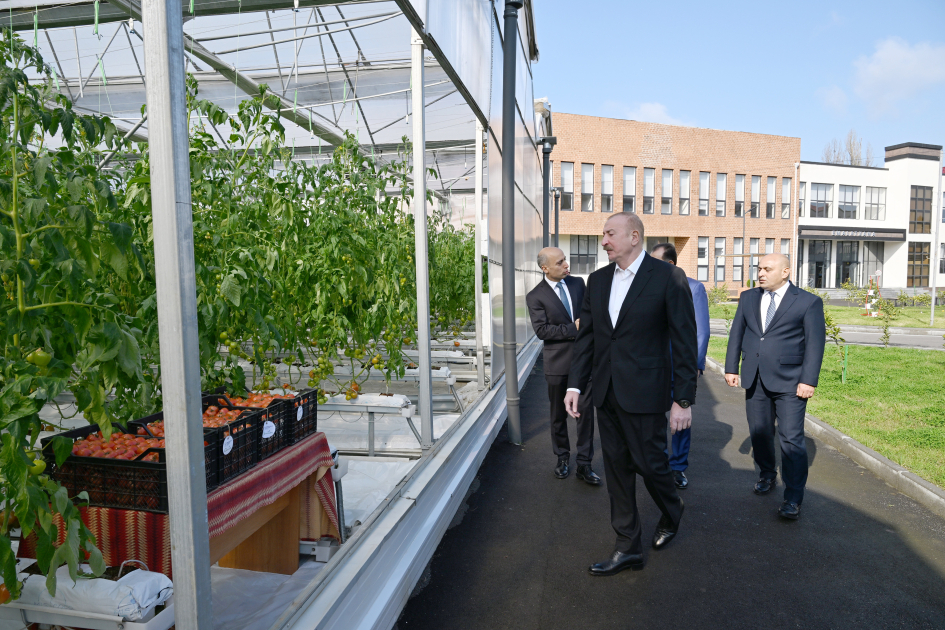 Prezident İlham Əliyev Lənkəran Dövlət Peşə Təhsil Mərkəzinin açılışında iştirak edib