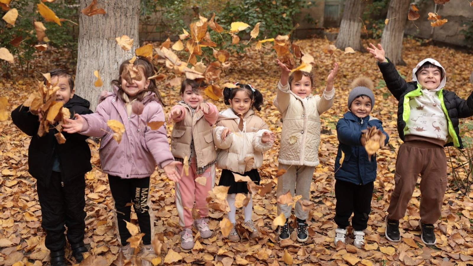 Uşağı müşahidəçidən tədqiqatçıya aparan yol