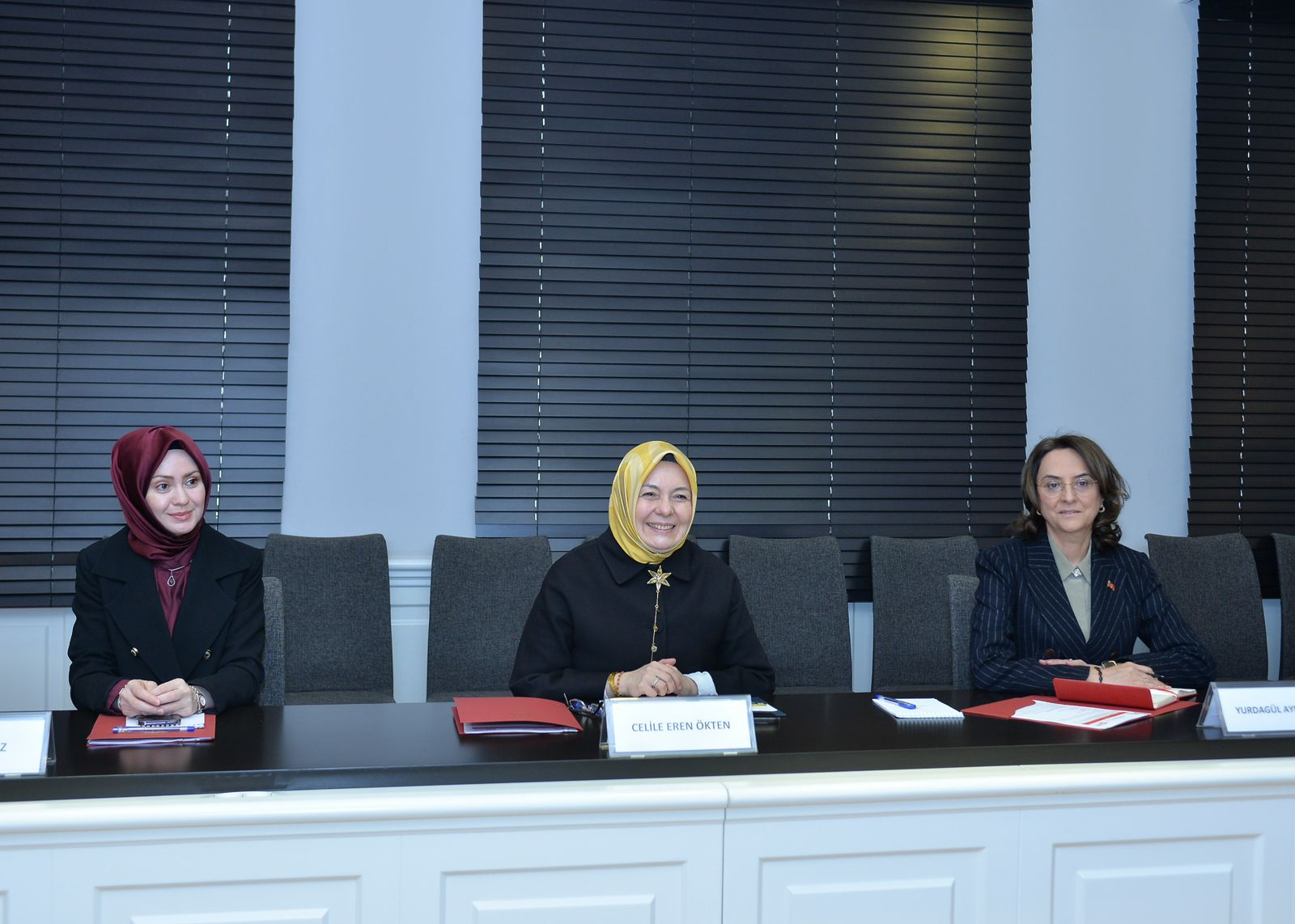 Həsən Həsənli Türkiyənin milli təhsil nazirinin müavini ilə görüşüb