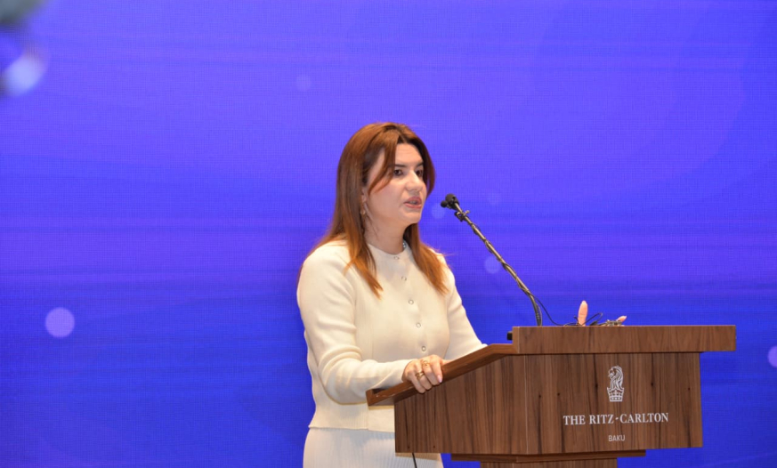 Ülkər Səttarova: Praktiki komponent bir çox ixtisaslarımızda zəifdir 