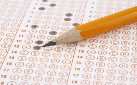 Şagirdlər üçün “Peşə seçimi" testi keçiriləcək 