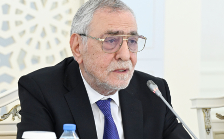 “Təhsil haqqında” Qanunda idmanla bağlı məsələlərin öz əksini tapması təklif olunub