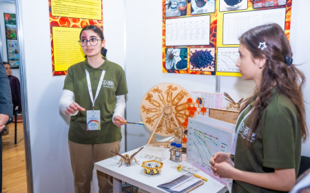 Arıları qorumaq üçün qaraçörəkotu ilə tədqiqat apardılar