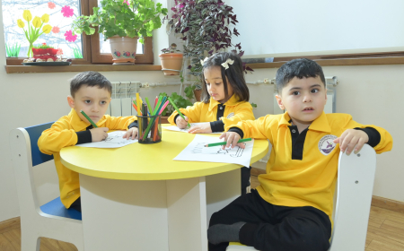 Bu hal bağçaya qəbulda imtiyaz kimi nəzərə alınsın – Deputatdan TƏKLİF