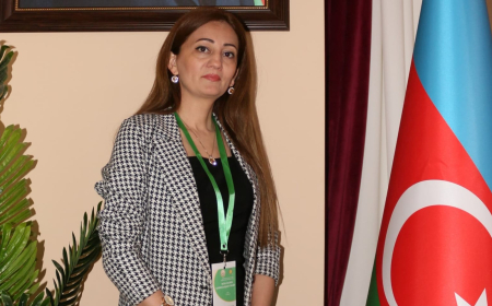 “Müəllimlərin dəyişikliklərə müqaviməti bizə çətinlik yaradır” -  Aparıcı metodist