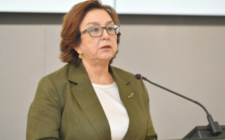 Məleykə Abbaszadə: Aşağı siniflərdə zəif təməl sonrakı imtahan nəticələrinə də təsir edir 