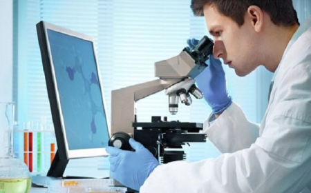 Gənc alimlər üçün beynəlxalq akademik mentorluq və tədqiqat proqramı başlayır