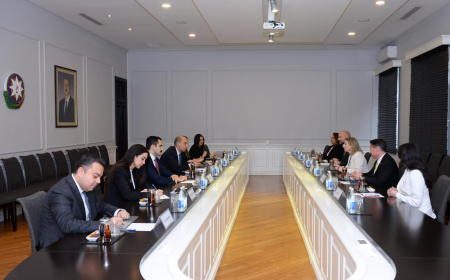 Emin Əmrullayev ABŞ-nin ölkəmizdəki müvəqqəti işlər vəkili ilə görüşüb